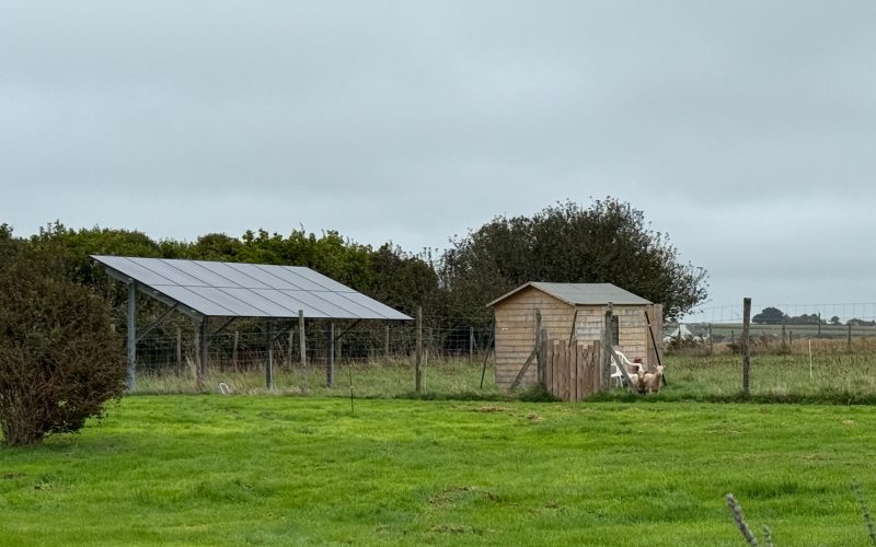 panneaux-photovoltaïques-au-sol-nestorwatt